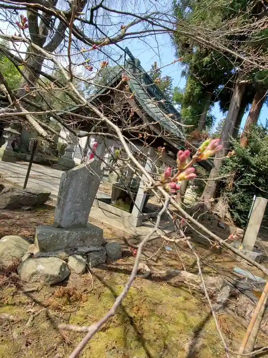 神炊館神社 ⁂奥州須賀川総鎮守⁂の自然