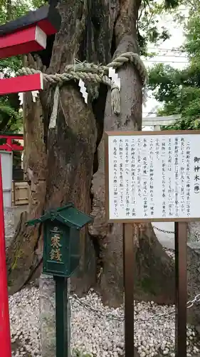 新田神社の歴史