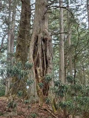 三峯神社(埼玉県)
