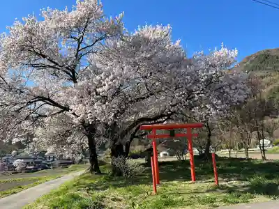 天神宮(伝河原氏屋敷跡)の自然