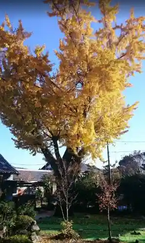 法幢寺の庭園