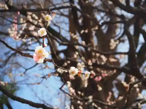 荏柄天神社(神奈川県)