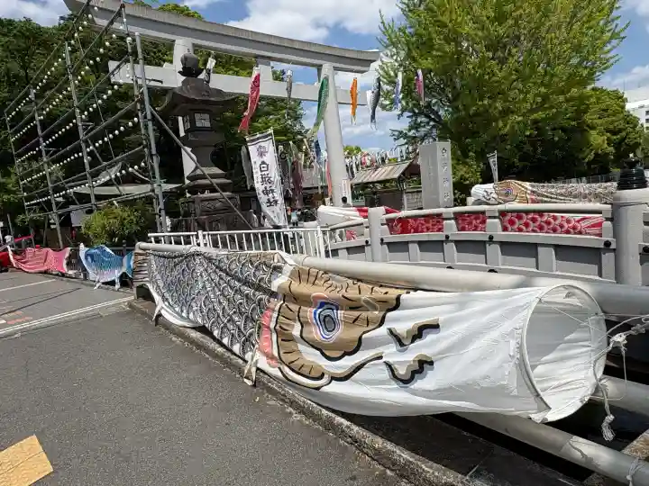 白旗神社の{uncategorized: "未分類", other: "その他", undefined: "問題あり", building: "その他建物", grave: "お墓", sacred_gate: "鳥居", guardian: "狛犬", statue: "像", buddha: "仏像", history: "歴史", nature: "自然", garden: "庭園", animal: "動物", pagoda: "塔", temizu: "手水舎", mountain_gate: "山門・神門", sanctuary: "本殿・本堂", subordinate: "末社・摂社", art: "芸術", scenery: "景色", jizo: "地蔵", ema: "絵馬", goshuin: "御朱印", omikuji: "おみくじ", items: "授与品その他", amulet: "お守り", goshuincho: "御朱印帳", eats: "食事", festival: "お祭り", votive_dance: "神楽", shichigosan: "七五三参", wedding: "結婚式", experience: "体験その他", initially: "初詣", around: "周辺", anti_infection: "感染症対策"}
