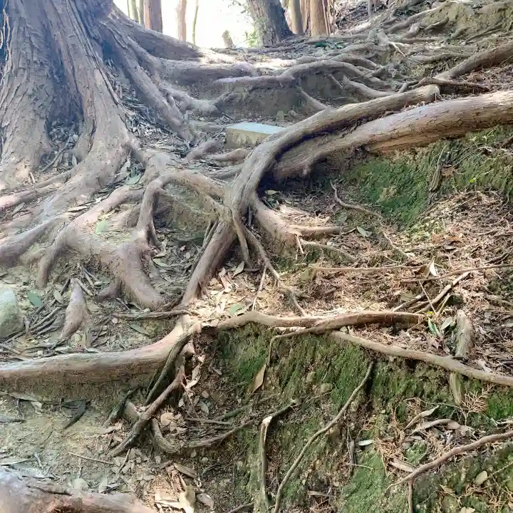 興国寺の{uncategorized: "未分類", other: "その他", undefined: "問題あり", building: "その他建物", grave: "お墓", sacred_gate: "鳥居", guardian: "狛犬", statue: "像", buddha: "仏像", history: "歴史", nature: "自然", garden: "庭園", animal: "動物", pagoda: "塔", temizu: "手水舎", mountain_gate: "山門・神門", sanctuary: "本殿・本堂", subordinate: "末社・摂社", art: "芸術", scenery: "景色", jizo: "地蔵", ema: "絵馬", goshuin: "御朱印", omikuji: "おみくじ", items: "授与品その他", amulet: "お守り", goshuincho: "御朱印帳", eats: "食事", festival: "お祭り", votive_dance: "神楽", shichigosan: "七五三参", wedding: "結婚式", experience: "体験その他", initially: "初詣", around: "周辺", anti_infection: "感染症対策"}