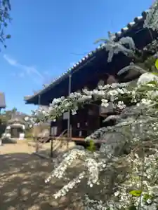 海龍王寺(奈良県)(2025年04月09日(水) 14時14分20秒投稿)