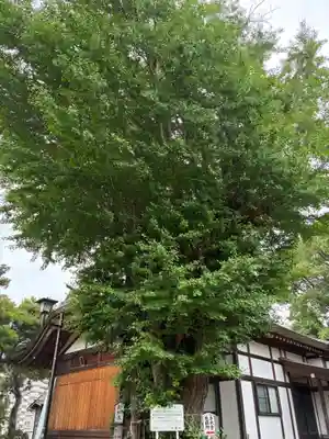 登渡神社(千葉県)