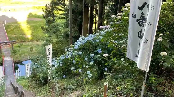 坪沼八幡神社の自然