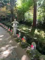 金剛輪寺の地蔵