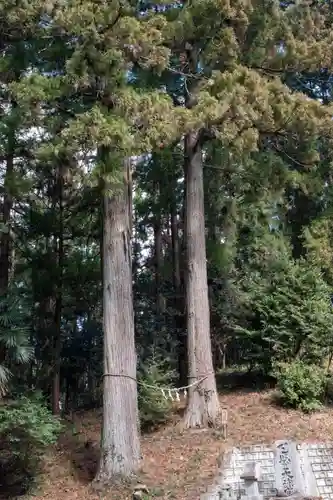 熱日高彦神社(宮城県)