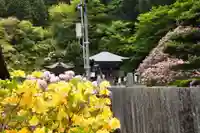 横峰寺(愛媛県)