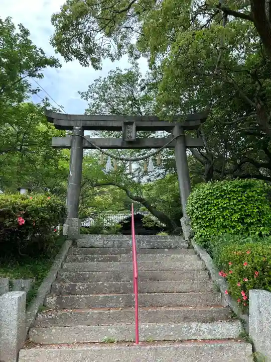 天神社の{uncategorized: "未分類", other: "その他", undefined: "問題あり", building: "その他建物", grave: "お墓", sacred_gate: "鳥居", guardian: "狛犬", statue: "像", buddha: "仏像", history: "歴史", nature: "自然", garden: "庭園", animal: "動物", pagoda: "塔", temizu: "手水舎", mountain_gate: "山門・神門", sanctuary: "本殿・本堂", subordinate: "末社・摂社", art: "芸術", scenery: "景色", jizo: "地蔵", ema: "絵馬", goshuin: "御朱印", omikuji: "おみくじ", items: "授与品その他", amulet: "お守り", goshuincho: "御朱印帳", eats: "食事", festival: "お祭り", votive_dance: "神楽", shichigosan: "七五三参", wedding: "結婚式", experience: "体験その他", initially: "初詣", around: "周辺", anti_infection: "感染症対策"}