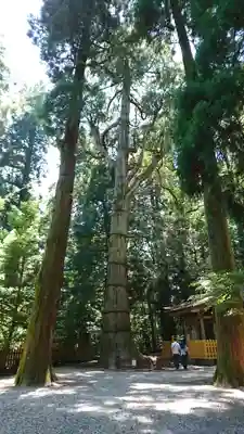 高千穂神社のその他建物