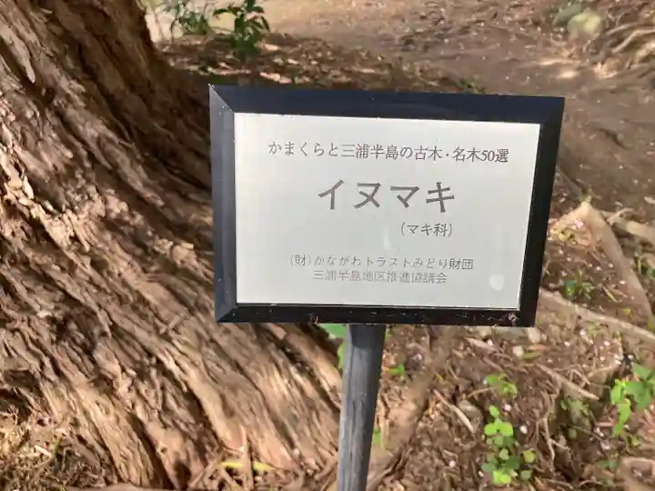 浄光明寺(神奈川県)