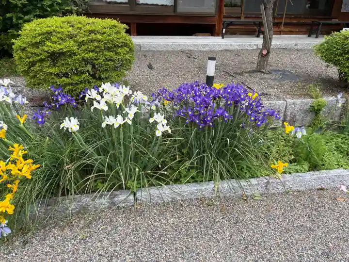 護船観音 妙法禅寺の{uncategorized: "未分類", other: "その他", undefined: "問題あり", building: "その他建物", grave: "お墓", sacred_gate: "鳥居", guardian: "狛犬", statue: "像", buddha: "仏像", history: "歴史", nature: "自然", garden: "庭園", animal: "動物", pagoda: "塔", temizu: "手水舎", mountain_gate: "山門・神門", sanctuary: "本殿・本堂", subordinate: "末社・摂社", art: "芸術", scenery: "景色", jizo: "地蔵", ema: "絵馬", goshuin: "御朱印", omikuji: "おみくじ", items: "授与品その他", amulet: "お守り", goshuincho: "御朱印帳", eats: "食事", festival: "お祭り", votive_dance: "神楽", shichigosan: "七五三参", wedding: "結婚式", experience: "体験その他", initially: "初詣", around: "周辺", anti_infection: "感染症対策"}