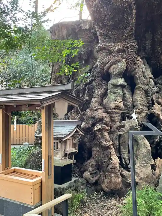 來宮神社(静岡県)