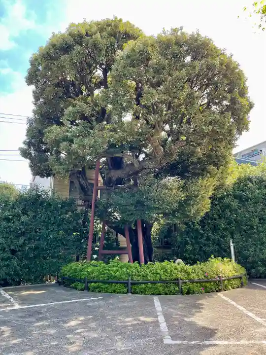 延命院(東京都)