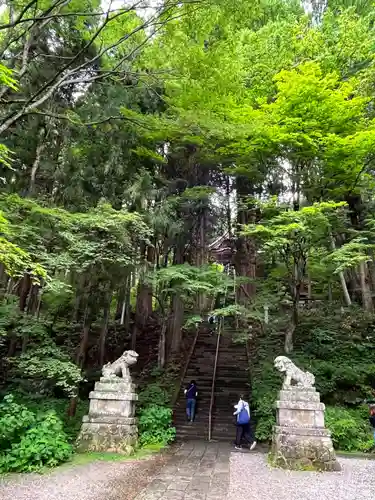 戸隠神社宝光社の狛犬