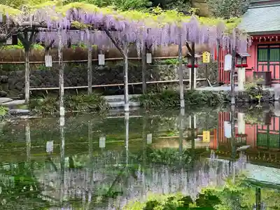 富士山本宮浅間大社のその他建物