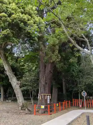息栖神社(茨城県)