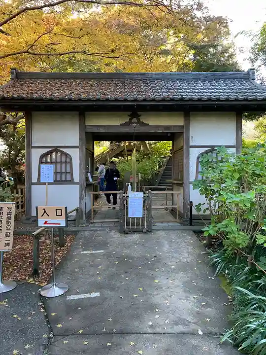 明月院(神奈川県)