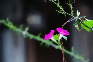 浄土寺(兵庫県)(2023年09月11日(月) 08時50分10秒投稿)