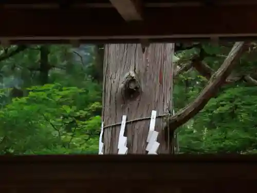 宝登山神社(埼玉県)