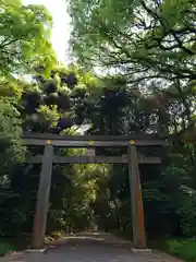 明治神宮の鳥居