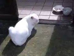 風巻神社の動物