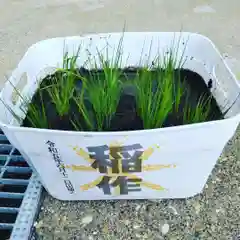 七重浜海津見神社(北海道)