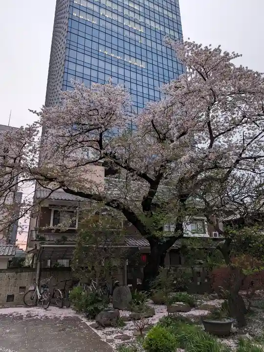 常圓寺(東京都)