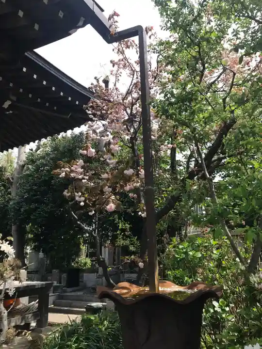 教恩寺のその他建物