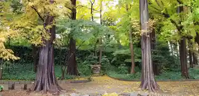 増上寺塔頭 三縁山 宝珠院の周辺