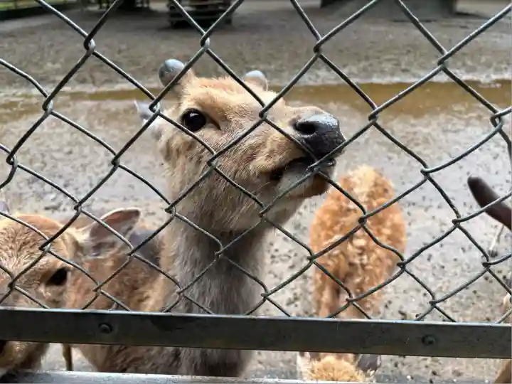 鹿島神宮(茨城県)