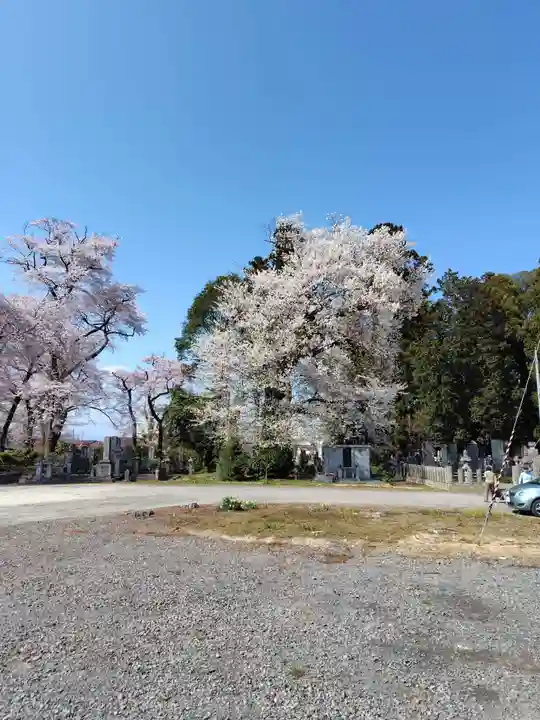 長松院(福島県)