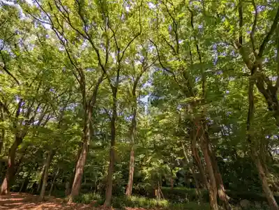 賀茂御祖神社（下鴨神社）(京都府)
