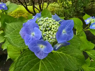 宝性院（石山寺寺務所）(滋賀県)