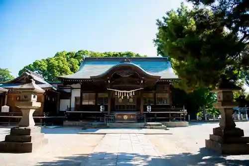 葛飾八幡宮の本殿・本堂