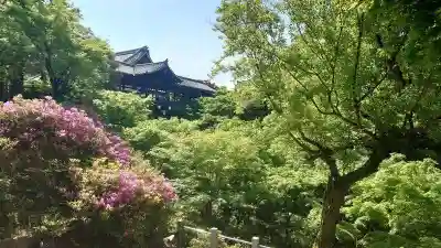 東福禅寺(東福寺)(京都府)