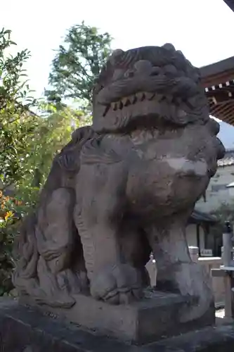 今泉八坂神社の狛犬