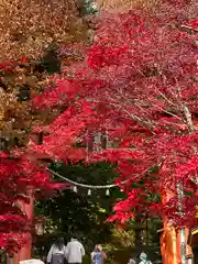 新倉富士浅間神社(山梨県)