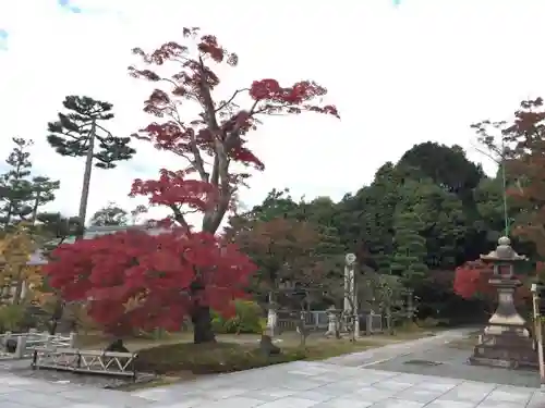 根来寺 智積院の庭園