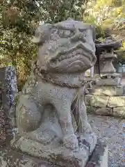 池戸八幡神社(香川県)