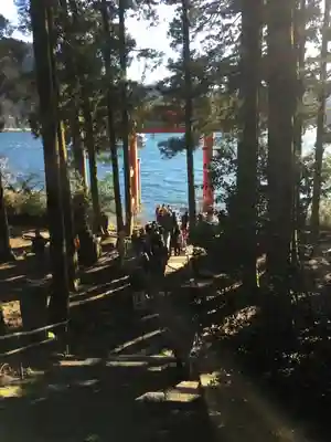 箱根神社の周辺