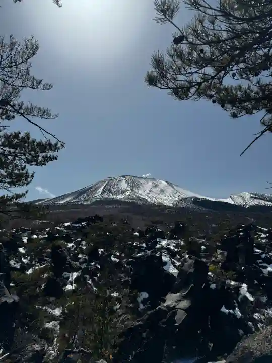 寛永寺別院浅間山観音堂の{uncategorized: "未分類", other: "その他", undefined: "問題あり", building: "その他建物", grave: "お墓", sacred_gate: "鳥居", guardian: "狛犬", statue: "像", buddha: "仏像", history: "歴史", nature: "自然", garden: "庭園", animal: "動物", pagoda: "塔", temizu: "手水舎", mountain_gate: "山門・神門", sanctuary: "本殿・本堂", subordinate: "末社・摂社", art: "芸術", scenery: "景色", jizo: "地蔵", ema: "絵馬", goshuin: "御朱印", omikuji: "おみくじ", items: "授与品その他", amulet: "お守り", goshuincho: "御朱印帳", eats: "食事", festival: "お祭り", votive_dance: "神楽", shichigosan: "七五三参", wedding: "結婚式", experience: "体験その他", initially: "初詣", around: "周辺", anti_infection: "感染症対策"}