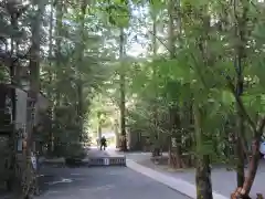 椿大神社の建物その他