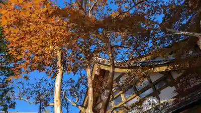 宝泉院(京都府)