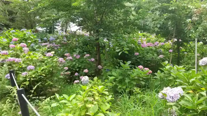 本土寺(千葉県)