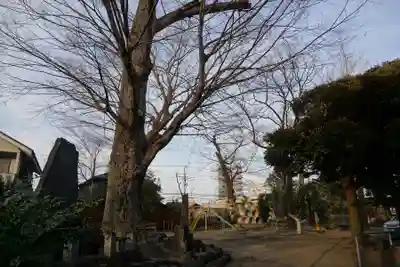 千形神社(埼玉県)