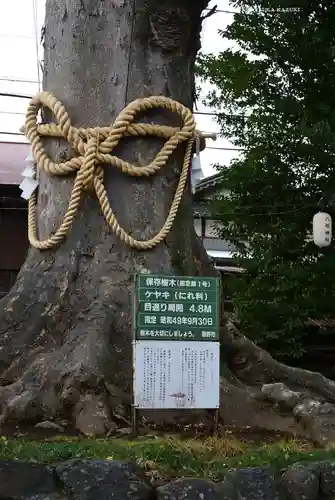 八坂神社(神奈川県)