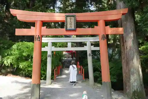 安志加茂神社の鳥居